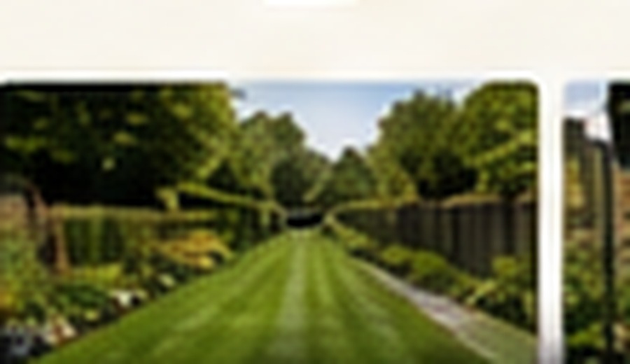 Garden Maintenance in Worksop