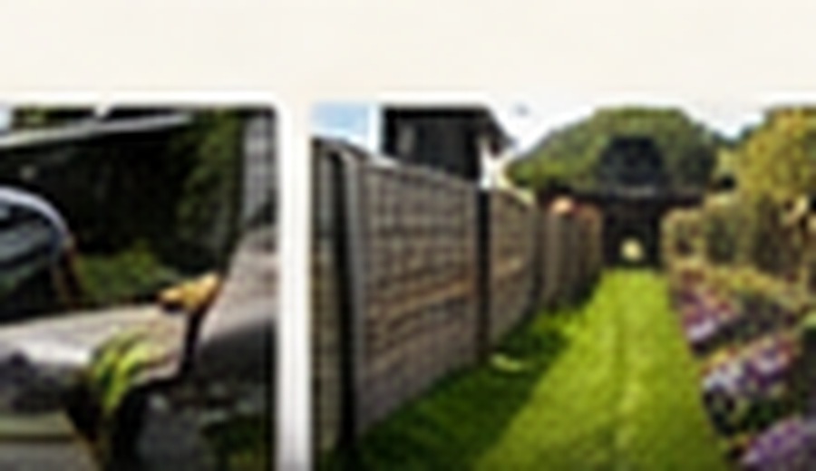 Hedge Trimming in Worksop