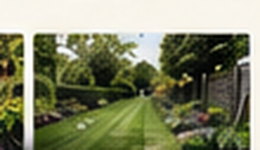 Weeding & Tidy Ups in Worksop